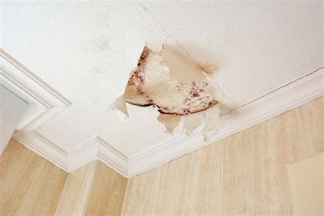 who to call leak in ceiling